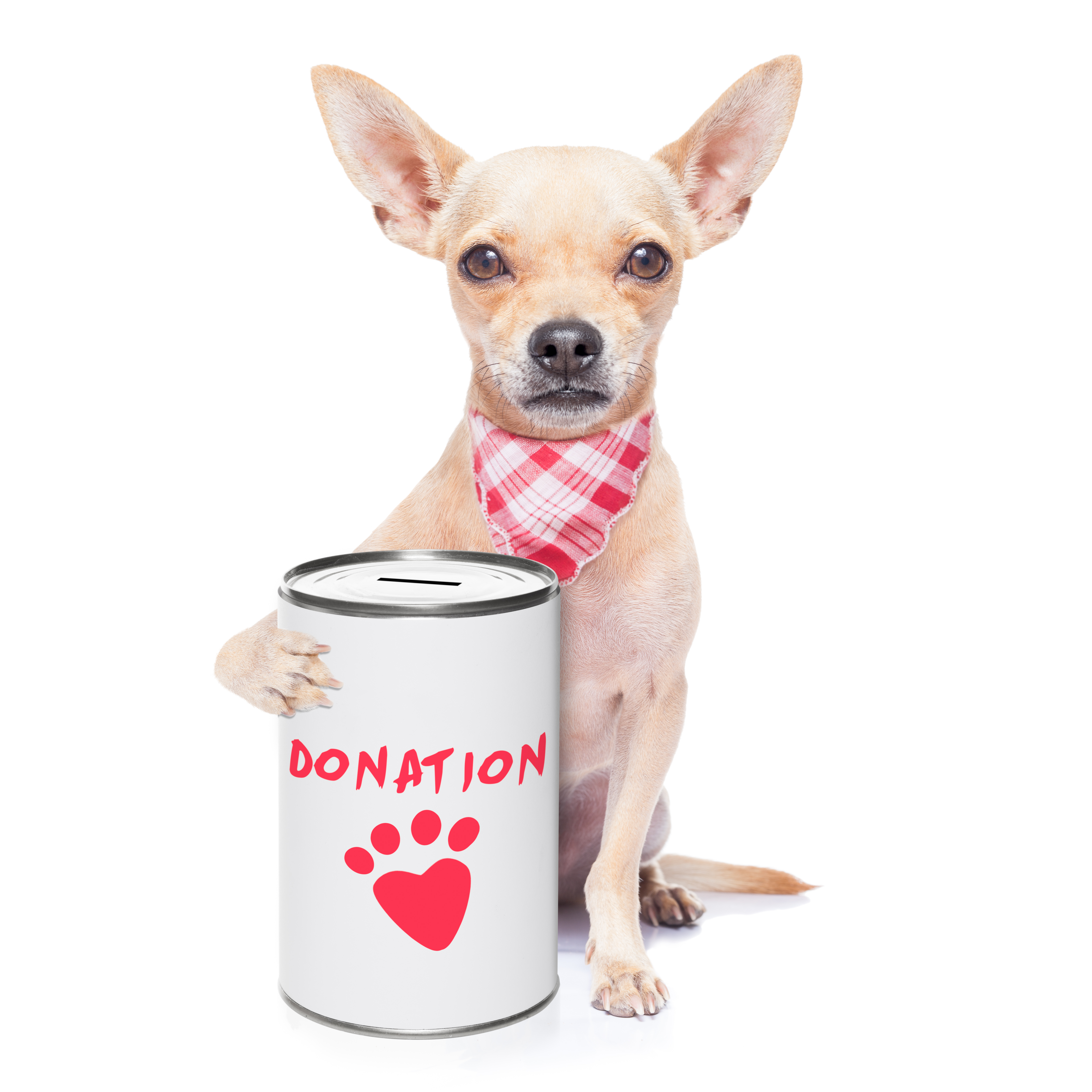 Donate | Animal Shelter