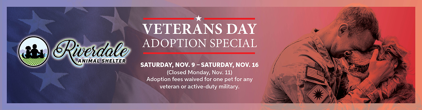 Veterans Day Adoption Special