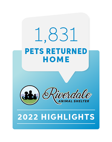 1,831 Pets Returned Home