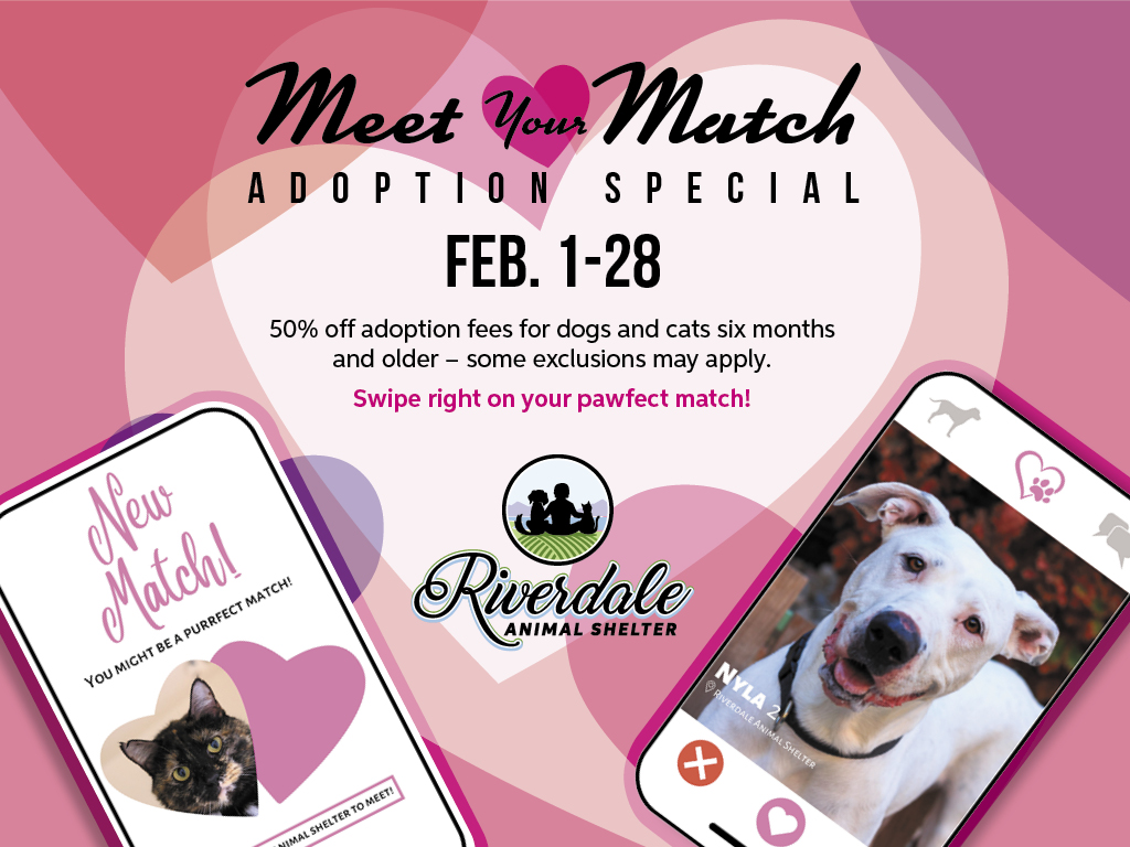 Meet Your Match Adoption Special